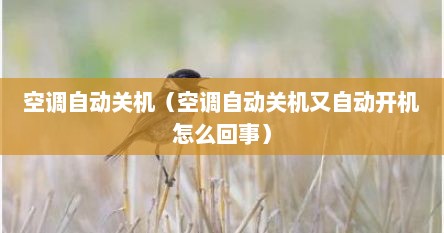 空调自动关机（空调自动关机又自动开机怎么回事）
