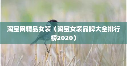 淘宝网精品女装（淘宝女装品牌大全排行榜2020）