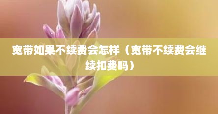 宽带如果不续费会怎样（宽带不续费会继续扣费吗）