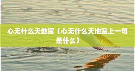 心无什么天地宽（心无什么天地宽上一句是什么）