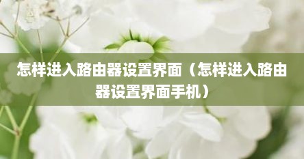 怎样进入路由器设置界面（怎样进入路由器设置界面手机）