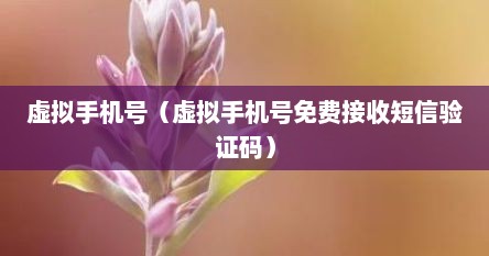 虚拟手机号验证码软件（虚拟手机号能不能收到验证码）