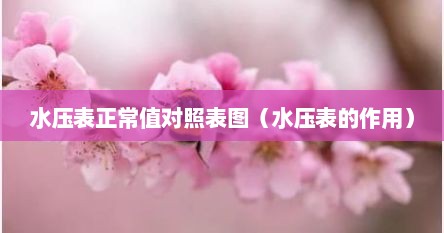 水压表正常值对照表图（水压表的作用）