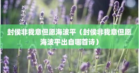 封侯非我意但愿海波平（封侯非我意但愿海波平出自哪首诗）