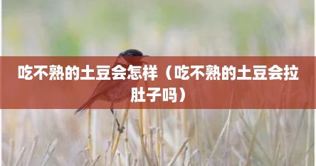 吃不熟的土豆会怎样（吃不熟的土豆会拉肚子吗）