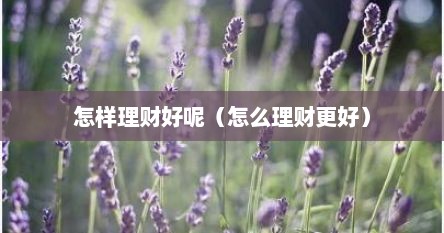 怎样理财好呢（怎么理财更好）