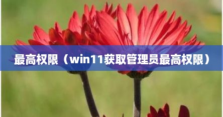 最高权限（win11获取管理员最高权限）