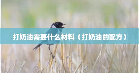 打奶油需要什么材料（打奶油的配方）