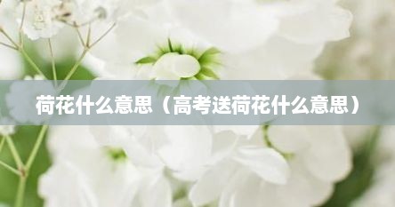 荷花什么意思（高考送荷花什么意思）