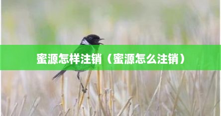 蜜源怎样注销（蜜源怎么注销）
