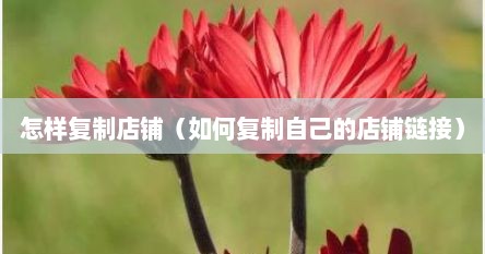 怎样复制店铺（如何复制自己的店铺链接）