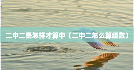 二中二是怎样才算中（二中二怎么算组数）