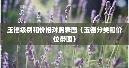 玉镯级别和价格对照表图（玉镯分类和价位带图）