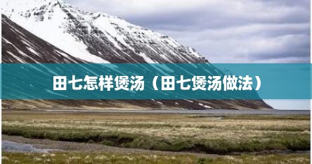 田七怎样煲汤（田七煲汤做法）