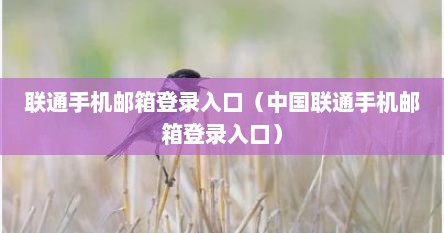 联通手机邮箱登录入口官网（联通手机邮箱咋申请）