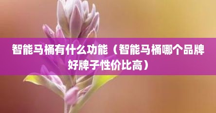 智能马桶有什么功能（智能马桶哪个品牌好牌子性价比高）