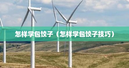 怎样学包饺子（怎样学包饺子技巧）