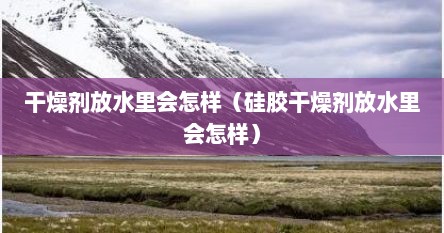 干燥剂放水里会怎样（硅胶干燥剂放水里会怎样）