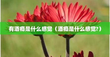 有酒瘾是什么感觉（酒瘾是什么感觉?）
