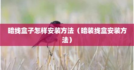 暗线盒子怎样安装方法（暗装线盒安装方法）