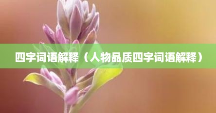四字词语解释（人物品质四字词语解释）