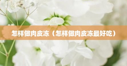怎样做肉皮冻（怎样做肉皮冻最好吃）
