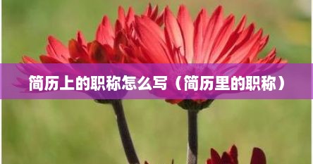 简历上的职称怎么写(简历里的职称)