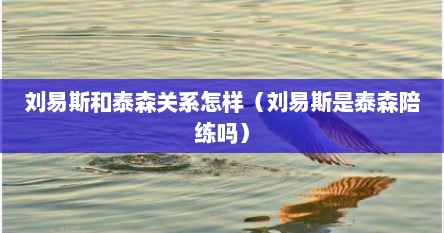 刘易斯和泰森关系怎样（刘易斯是泰森陪练吗）