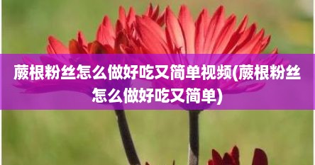 蕨根粉丝怎么做好吃又简单视频(蕨根粉丝怎么做好吃又简单)