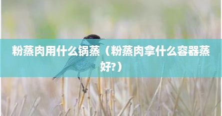粉蒸肉用什么锅蒸（粉蒸肉拿什么容器蒸好?）