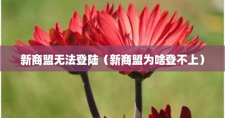 新商盟无法登陆（新商盟为啥登不上）