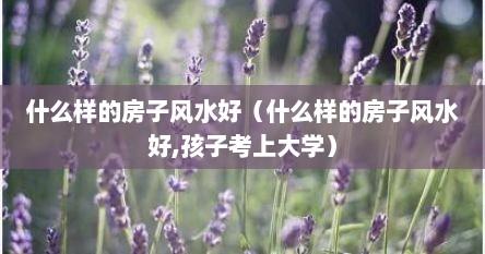 什么样的房子风水好（什么样的房子风水好,孩子考上大学）