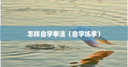 怎样自学拳法（自学练拳）