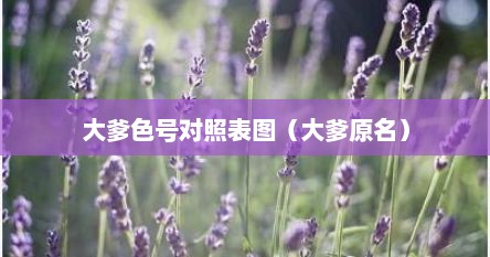 大爹色号对照表图（大爹原名）