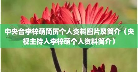 中央台李梓萌简历个人资料图片及简介（央视主持人李梓萌个人资料简介）