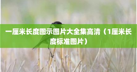 一厘米长度图示图片大全集高清（1厘米长度标准图片）