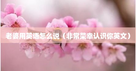 老婆英文怎样说（老婆用英语怎样说）