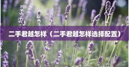二手君越怎样（二手君越怎样选择配置）
