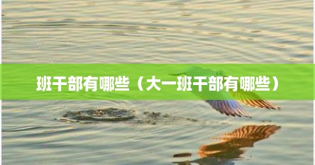 班干部有哪些（大一班干部有哪些）