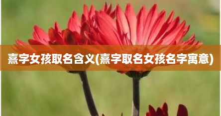 熹字女孩取名含义(熹字取名女孩名字寓意)