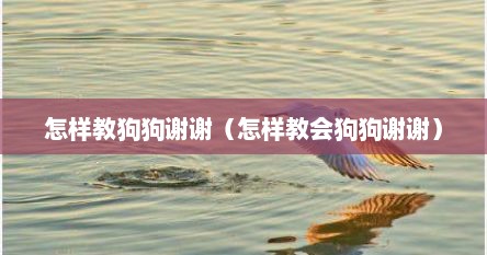 怎样教狗狗谢谢（怎样教会狗狗谢谢）