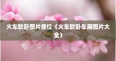 火车软卧图片座位（火车软卧车厢图片大全）