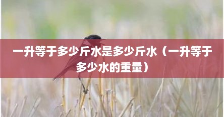 一升等于多少斤水是多少斤水（一升等于多少水的重量）