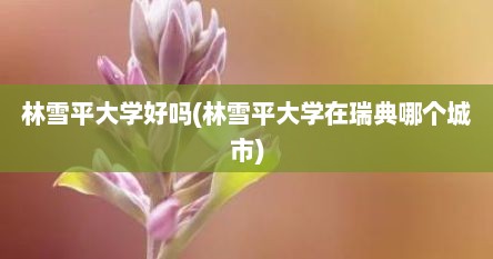 林雪平大学好吗(林雪平大学在瑞典哪个城市)