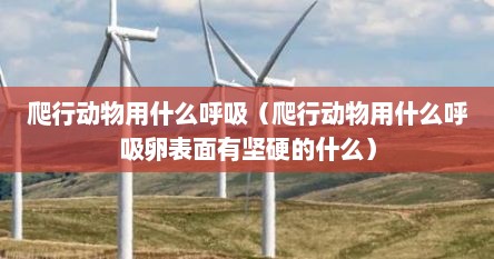 爬行动物用什么呼吸（爬行动物用什么呼吸卵表面有坚硬的什么）