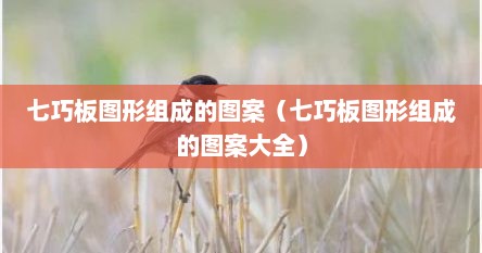 七巧板图形组成的图案（七巧板图形组成的图案大全）