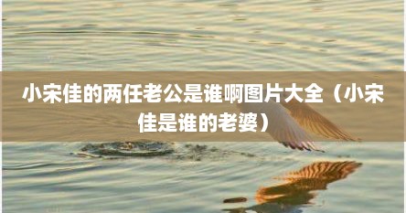 小宋佳的两任老公是谁啊图片大全（小宋佳是谁的老婆）