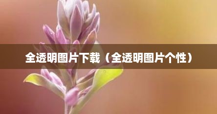 全透明图片下载（全透明图片个性）