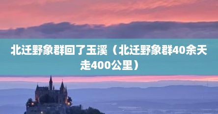 北迁野象群回了玉溪（北迁野象群40余天走400公里）
