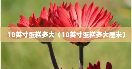 10英寸蛋糕多大（10英寸蛋糕多大厘米）